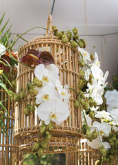 Rattan lantern