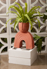 Terra cotta planter