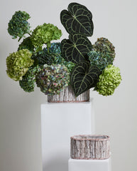 Oval bark basket