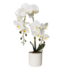Faux orchid plant