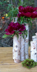 Birch vase