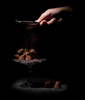 Cocoa powdered truffles