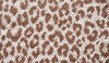 Leopard throw